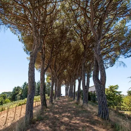 Spacious In Ramazzano, Perugia With Private Pool